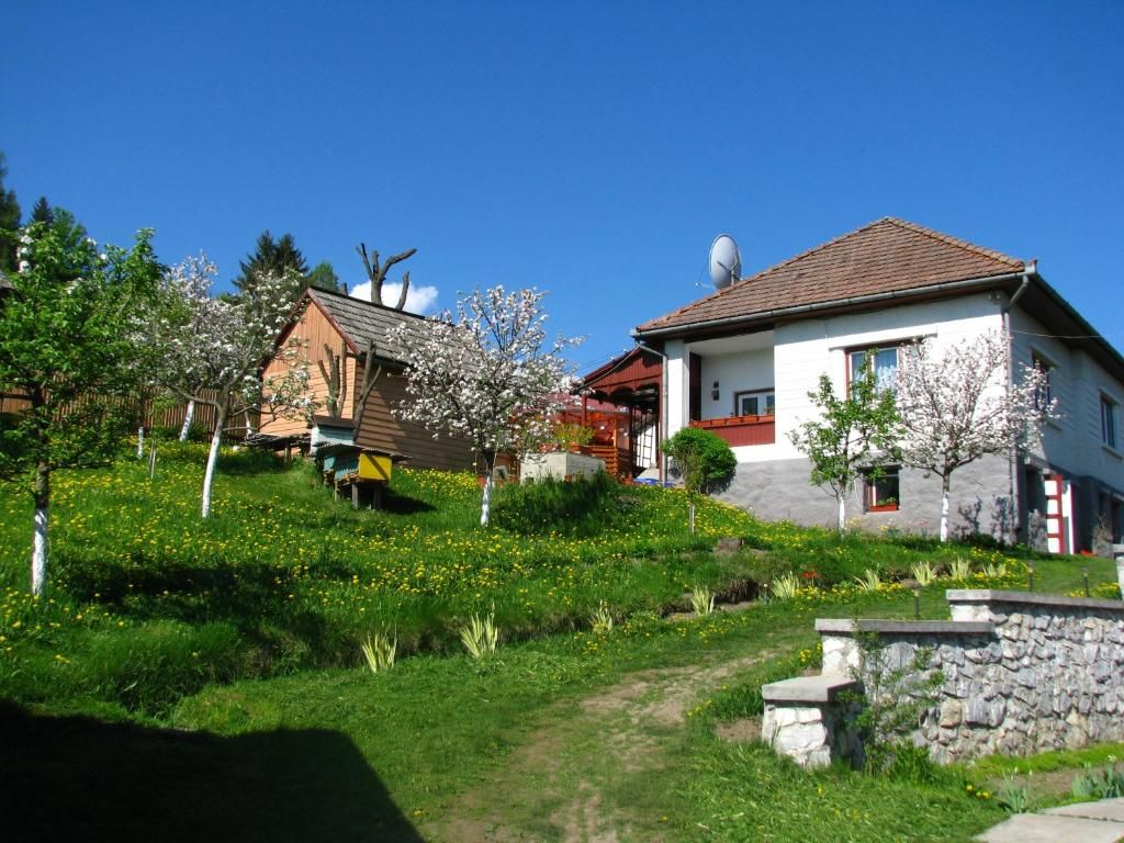 Дома для отпуска Cazare la Mitică Subcetate-61