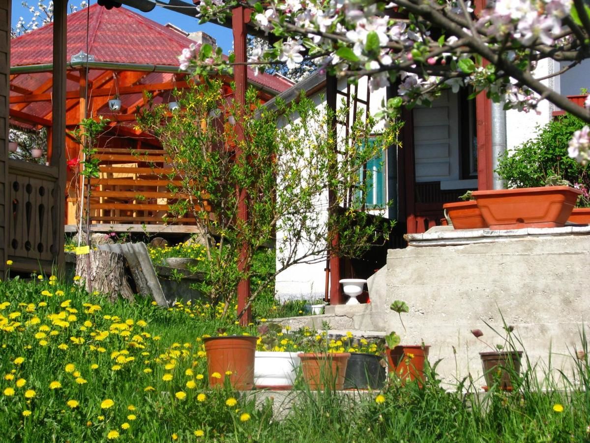 Дома для отпуска Cazare la Mitică Subcetate
